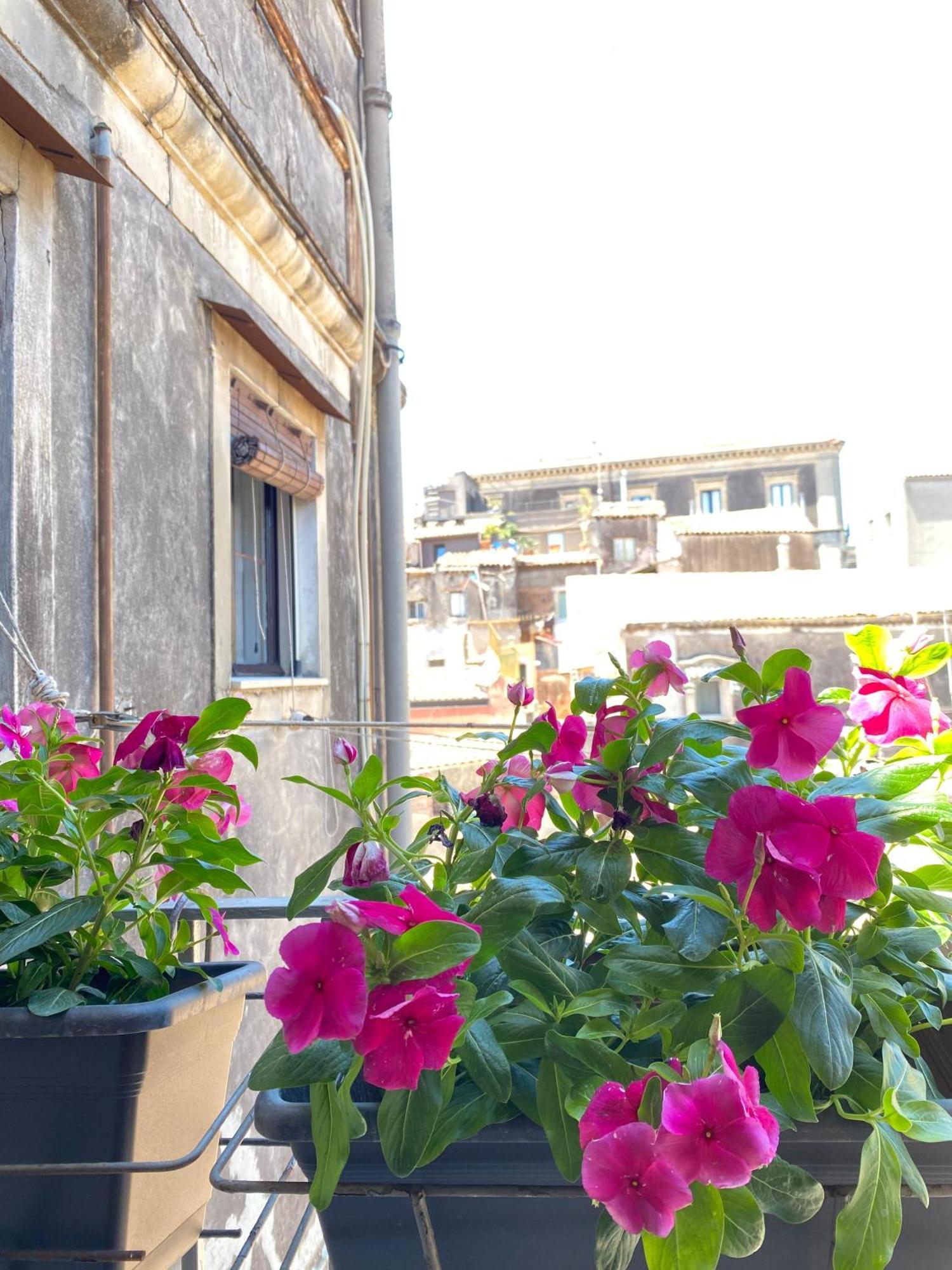 Bed and Breakfast Dimora Dei Minoriti Катания Экстерьер фото
